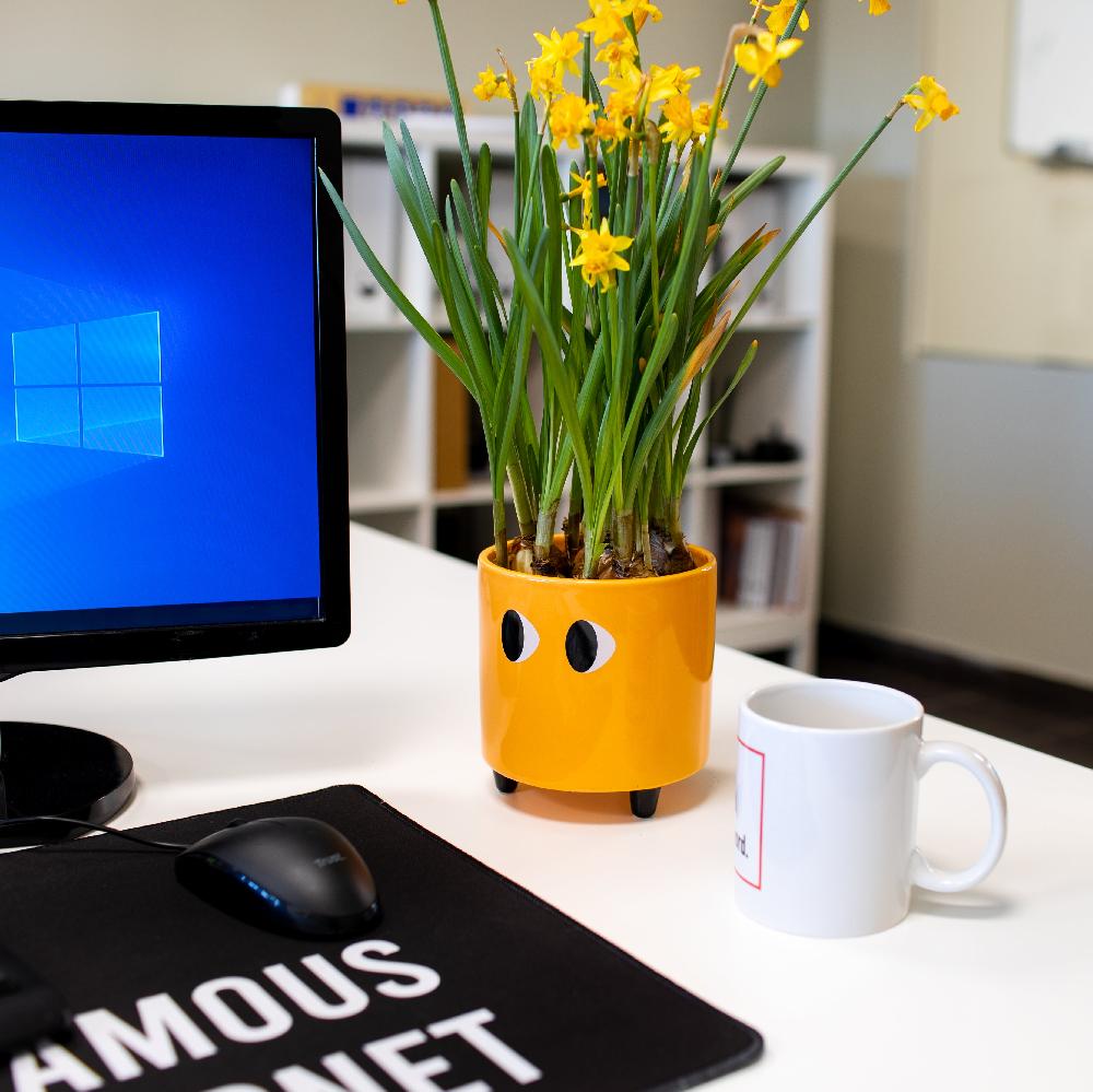 Fisura Macetero Con Ojos Naranja