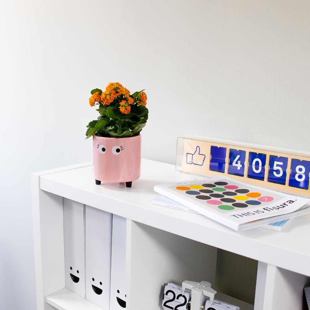 Fisura Macetero Con Ojos Rosa