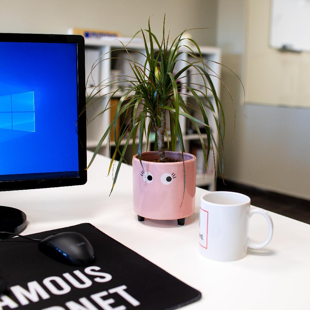 Fisura Macetero Con Ojos Rosa