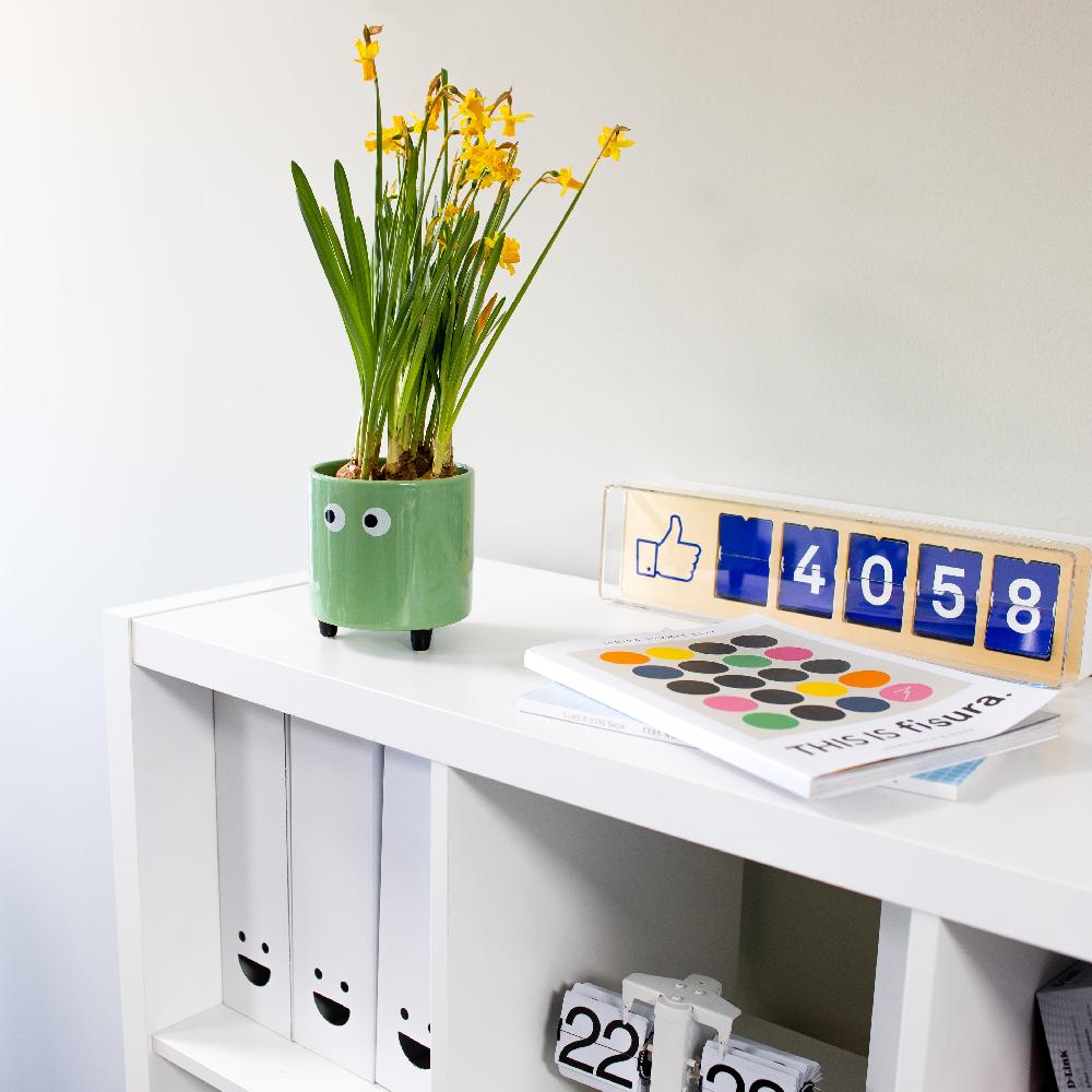 Fisura Macetero Con Ojos Verde