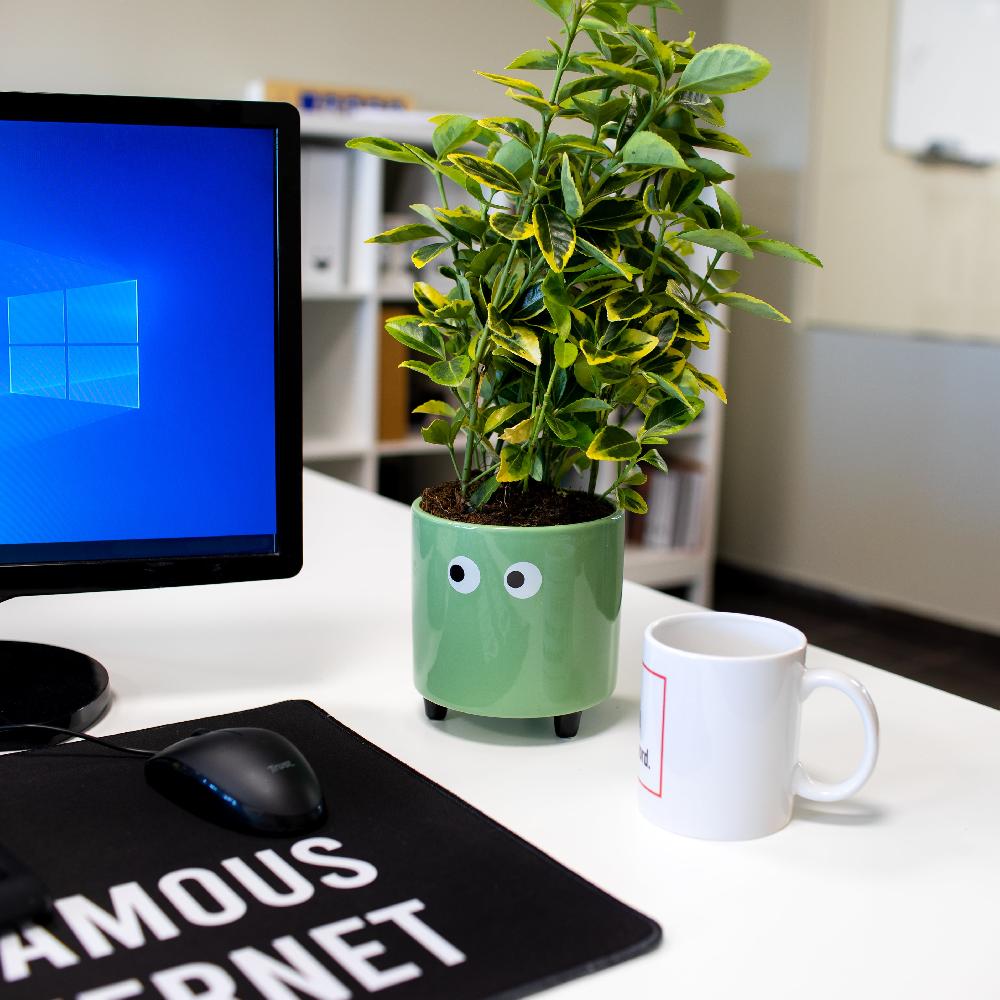 Fisura Macetero Con Ojos Verde