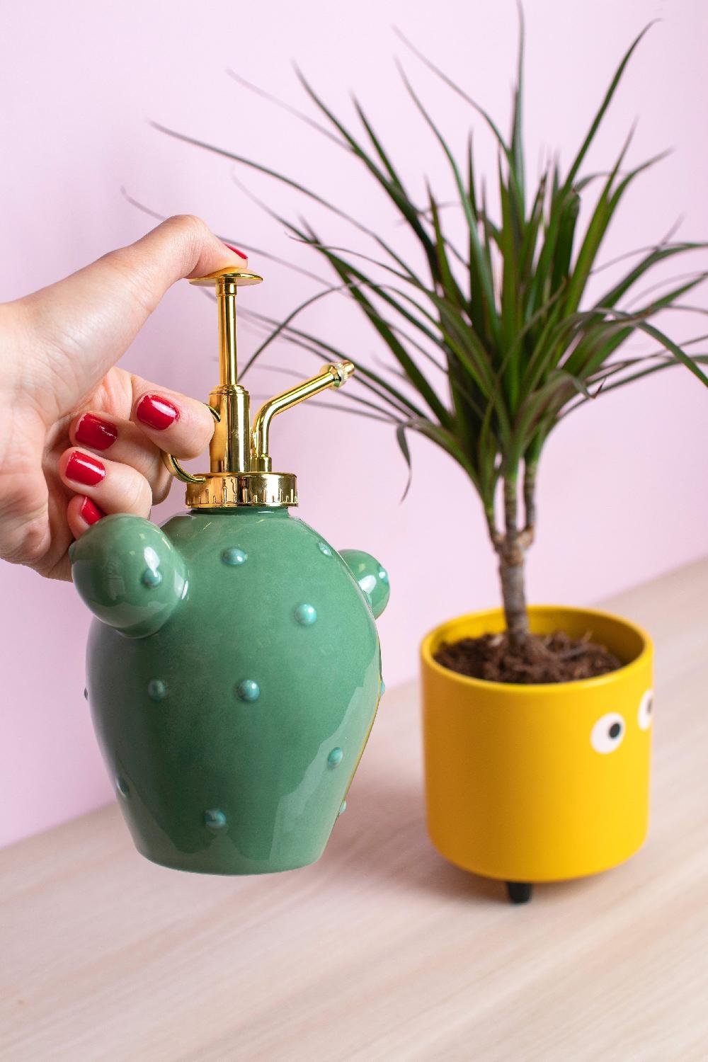 Fisura Pulverizador Para Plantas “cactus”