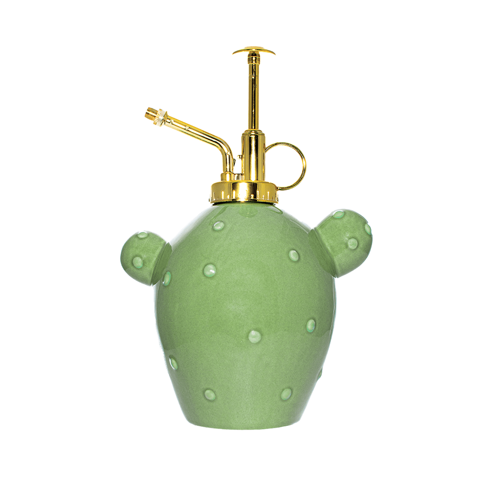 Fisura Pulverizador para plantas “cactus”