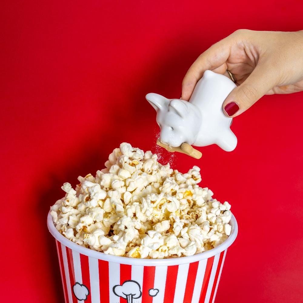 Fisura Salero Y Pimentero “perros”