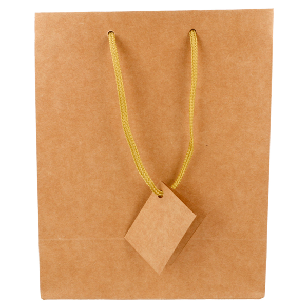 Garcia De Pou 10 U. BOLSAS BOUTIQUE ASA CORDÓN 175 G/M2 18+10x22 7 CM NATURAL KRAFT (1 UNID.)