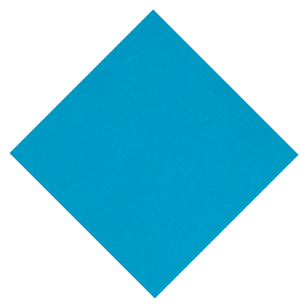 Garcia de pou 15 U. BAYETAS "MICROKLEEN" 130 G/M2 36x39 CM AZUL MICROFIBRA (1 UNID.)