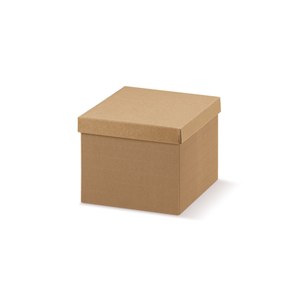 Garcia de pou 20 U. CAJAS 24x17x10 CM NATURAL KRAFT (1 UNID.)