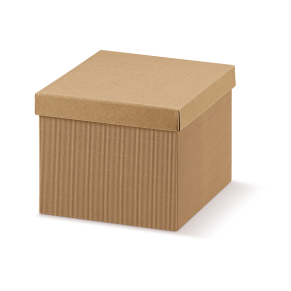 Garcia de pou 20 U. CAJAS 38x26x11 CM NATURAL KRAFT (1 UNID.)