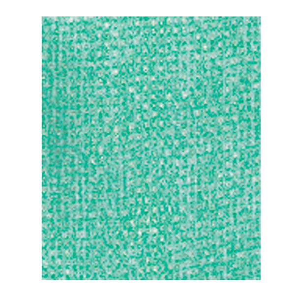 Garcia De Pou 25 U. BAYETAS "SUPER PERFOKLEEN" 80 G/M2 36x42 5 CM VERDE VISCOSA (1 UNID.)