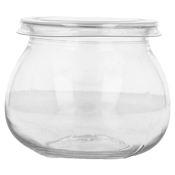 Garcia De Pou 250 RECIPIENTES PARA REQUESÓN+TAPAS 140 ML Ø6x6 1 CM TRANSPARENTE PET (250 UNID.)