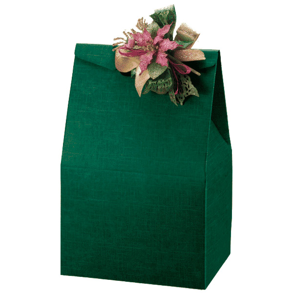 Garcia de pou 50 U. BOLSAS 28x20x41 CM VERDE CARTÓN (1 UNID.)