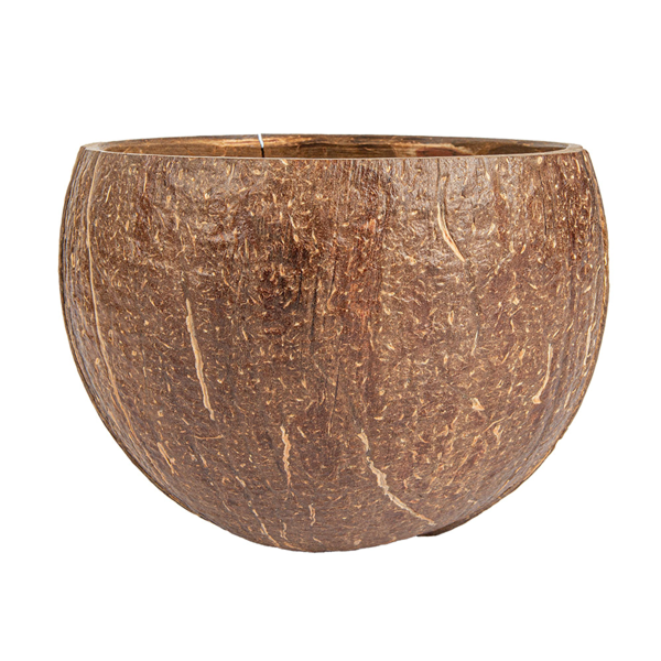 Garcia De Pou BOLES 200 ML Ø9x6 CM NATURAL COCO (5 UNID.)