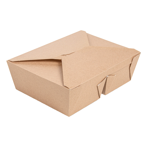 Garcia de pou CAJAS AMERICANAS 2 COMPART. 'THEPACK' 990 + 990 ML 240 + 12PP G/M2 19 6x14x6 2 CM NATURAL CARTÓN ONDULADO NANO-MICRO (200 UNID.)