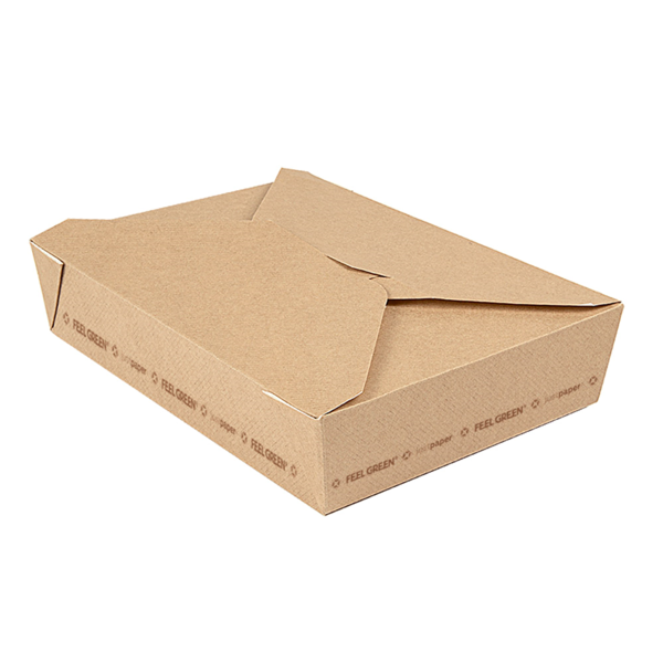 Garcia De Pou CAJAS AMERICANAS MICROONDABLES 'THEPACK' 1470 ML 220 G/M2 19 6x14x4 5 CM NATURAL CARTÓN ONDULADO NANO-MICRO (300 UNID.)