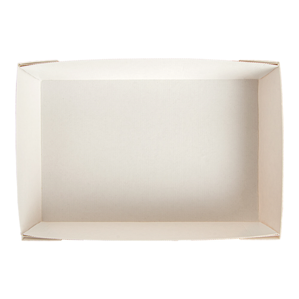 Garcia De Pou CAJAS 'THEPACK' 230 + 12PP G/M2 22x15x5 CM BLANCO CARTÓN ONDULADO NANO-MICRO (200 UNID.)