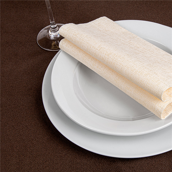 Garcia De Pou MANTEL EN ROLLO 55 G/M2 1 20x50 M CHOCOLATE AIRLAID (1 UNID.)