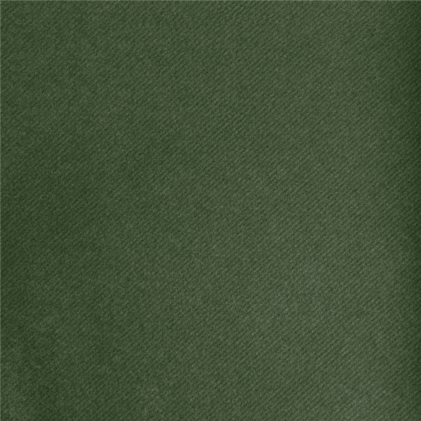 Garcia De Pou MANTEL EN ROLLO 55 G/M2 1 20x50 M VERDE JAGUAR AIRLAID (1 UNID.)