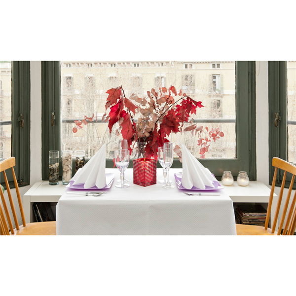 Garcia De Pou MANTEL EN ROLLO 'ANETO' 48 G/M2 1 20x100 M BLANCO CELULOSA (4 UNID.)