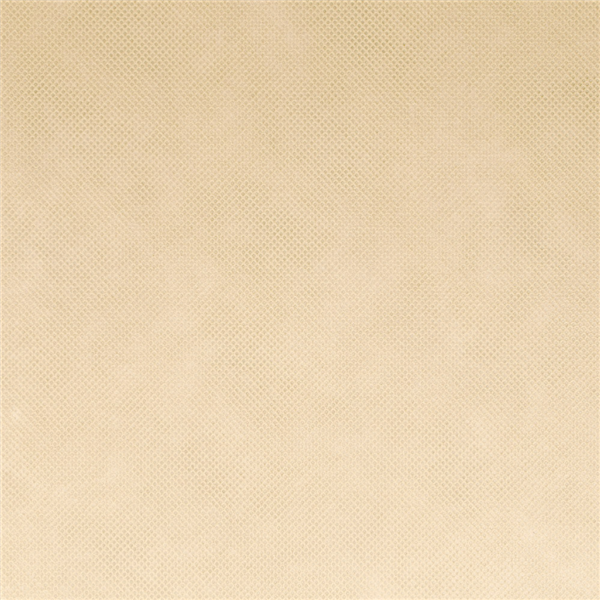 Garcia De Pou MANTEL 'SPUNBOND' 60 G/M2 1 20x50 M CREMA PP (1 UNID.)
