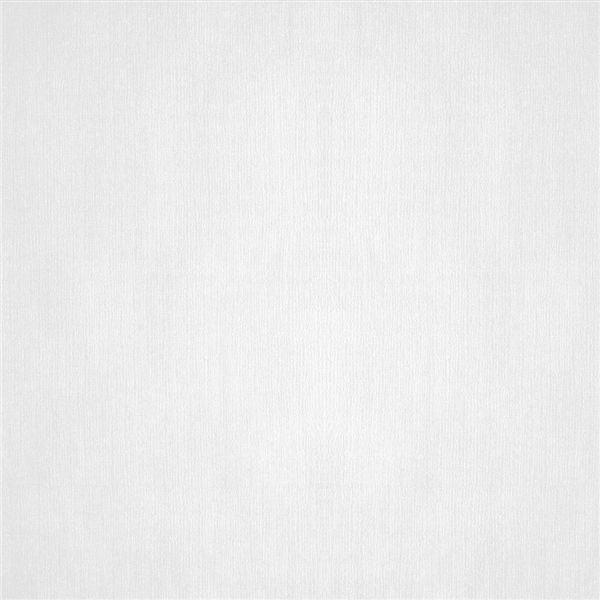 Garcia de pou MANTELES PLEGADO M 48 G/M2 100x100 CM BLANCO CELULOSA (200 UNID.)