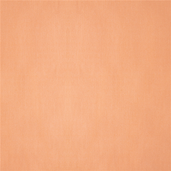 Garcia de pou MANTELES PLEGADO M 48 G/M2 100x100 CM SALMÓN CELULOSA (200 UNID.)