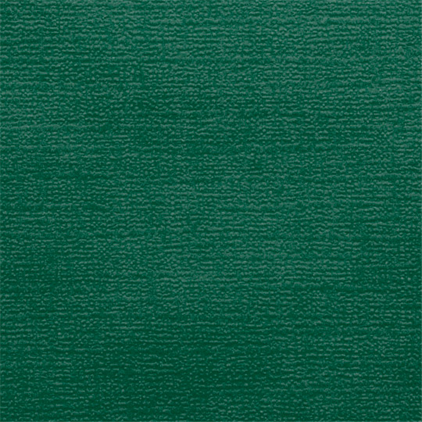 Garcia De Pou MANTELES PLEGADO M 48 G/M2 100x100 CM VERDE JAGUAR CELULOSA (200 UNID.)