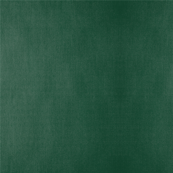 Garcia de pou MANTELES PLEGADO M 48 G/M2 100x100 CM VERDE JAGUAR CELULOSA (200 UNID.)