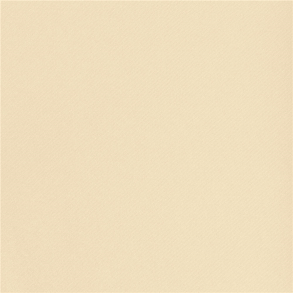 Garcia De Pou MANTELES PLEGADO M 55 G/M2 120x120 CM MARFIL AIRLAID (200 UNID.)