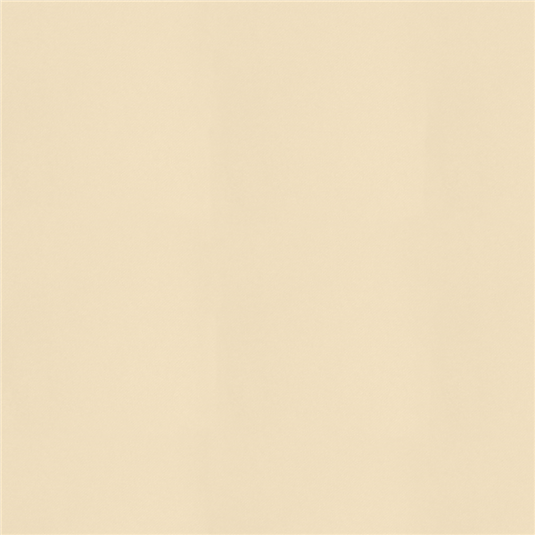 Garcia de pou MANTELES PLEGADO M 55 G/M2 120x120 CM MARFIL AIRLAID (200 UNID.)