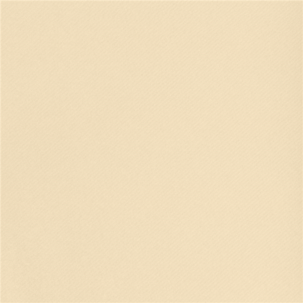 Garcia De Pou MANTELES PLEGADO Z 55 G/M2 100x100 CM MARFIL AIRLAID (200 UNID.)