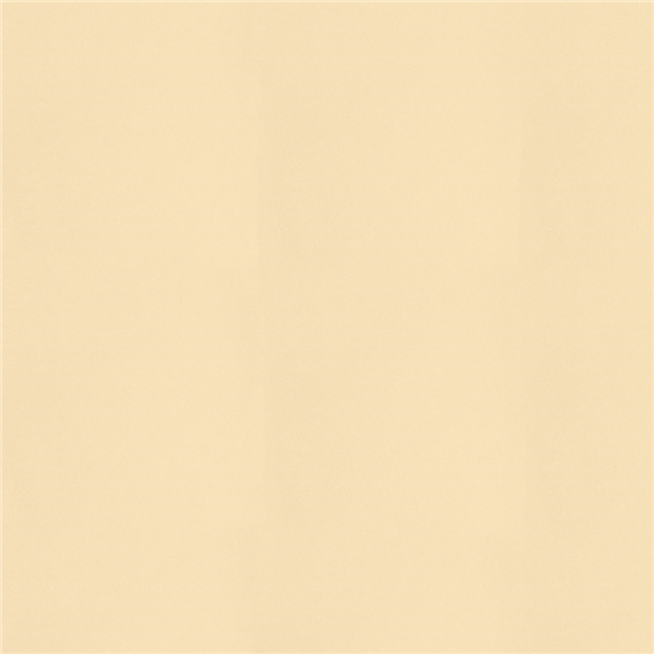 Garcia de pou MANTELES PLEGADO Z 55 G/M2 100x100 CM MARFIL AIRLAID (200 UNID.)