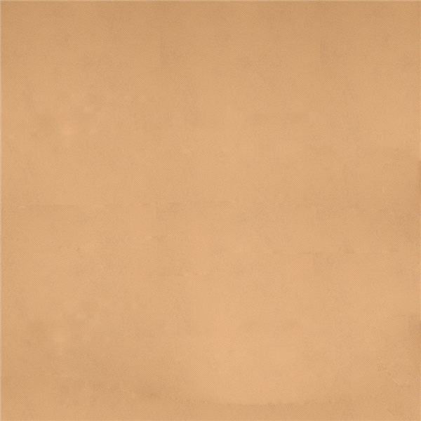 Garcia de pou MANTELES PLEGADO Z 'SPUNBOND' 60 G/M2 100x100 CM ARENA PP (200 UNID.)