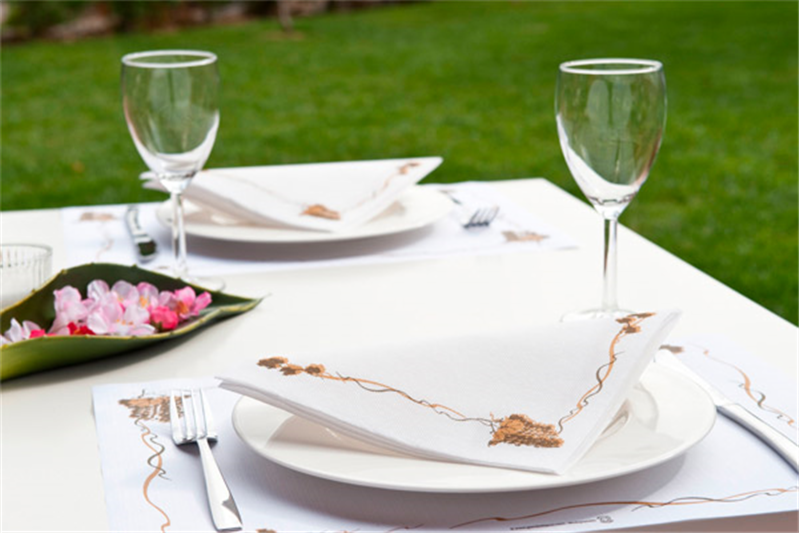 Garcia De Pou MANTELINES 'BACCHUS' 48 G/M2 31x43 CM BLANCO CELULOSA (2000 UNID.)