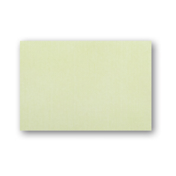 Garcia de pou MANTELINES 'DRY COTTON' 55 G/M2 30x40 CM KIWI AIRLAID (800 UNID.)