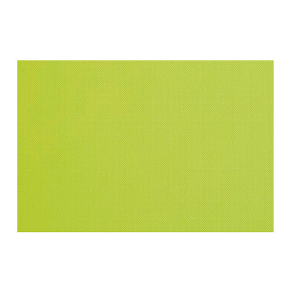 Garcia de pou MANTELINES 'SPUNBOND' 60 G/M2 30x40 CM LIMA PP (800 UNID.)