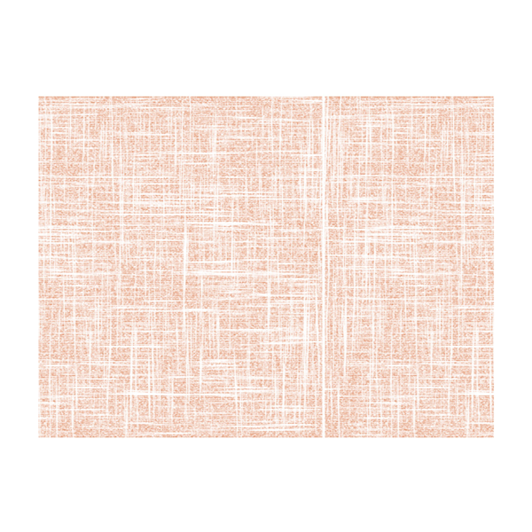 Garcia de pou MANTELINES 'SPUNBOND' 60 G/M2 30x40 CM TERRACOTA PP (800 UNID.)