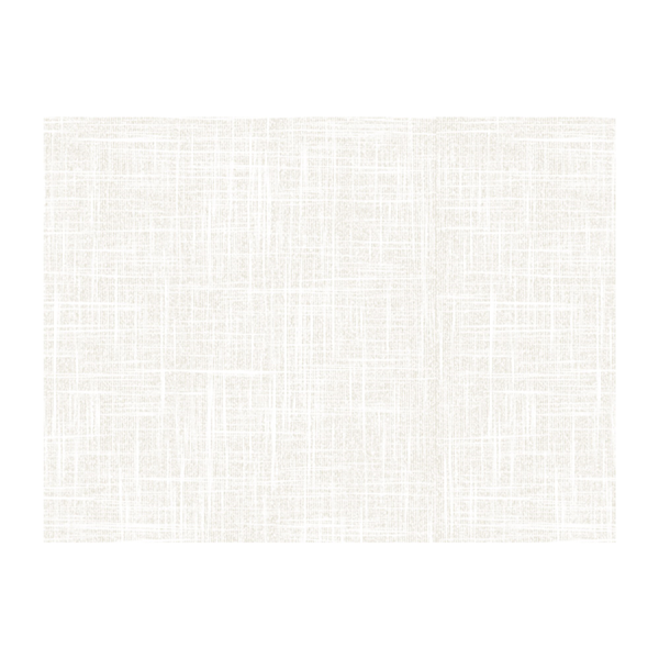 Garcia de pou MANTELINES 'SPUNBOND' 60 G/M2 35x50 CM MARFIL PP (800 UNID.)