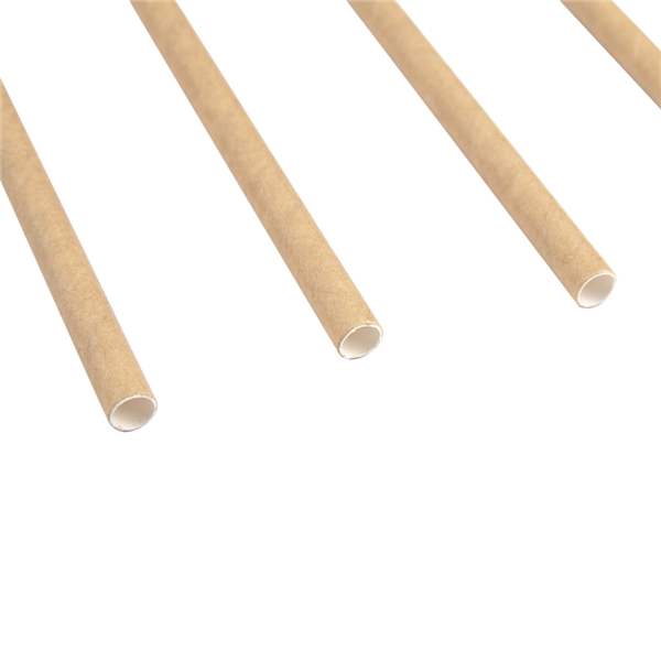 Garcia De Pou PAJITAS RECTAS 'PAPER' Ø0 60x20 CM NATURAL KRAFT (3000 UNID.)