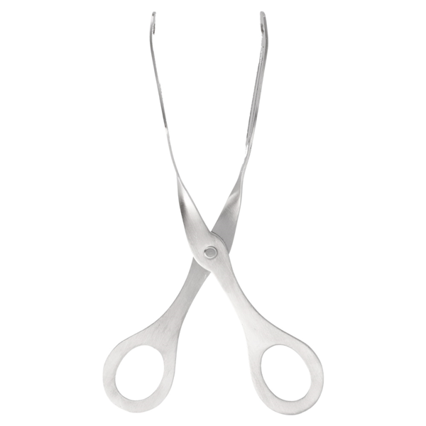 Garcia De Pou PINZA PASTEL 19 5 CM PLATEADO INOX (1 UNID.)