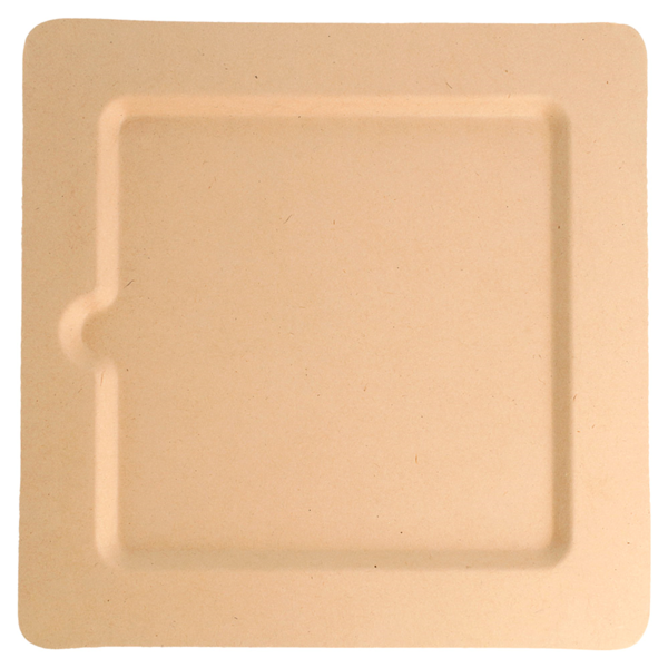 Garcia De Pou PLATOS CUADRADOS 'BIONIC' 20x20x1 CM NATURAL BAGAZO (200 UNID.)