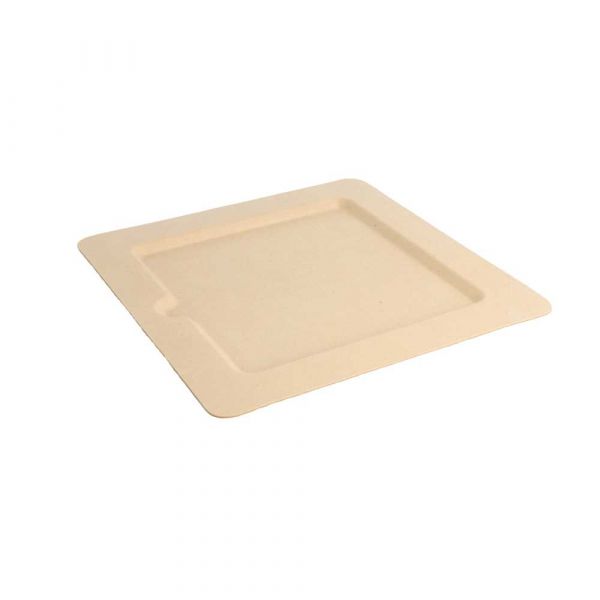 Garcia de pou PLATOS CUADRADOS 'BIONIC' 20x20x1 CM NATURAL BAGAZO (200 UNID.)