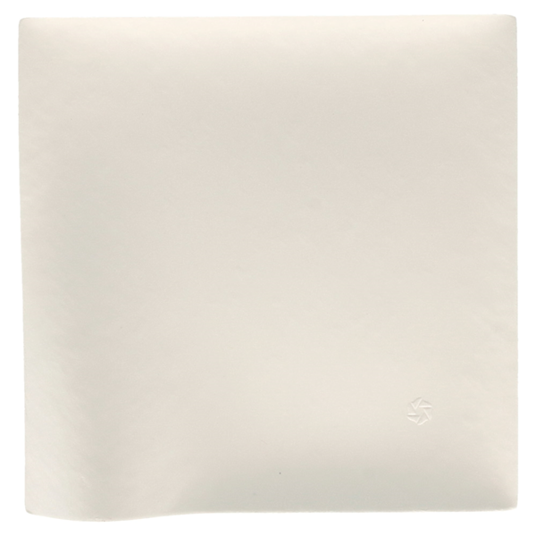 Garcia De Pou PLATOS KAKU M 'BIONIC' 15x15x2 6 CM BLANCO BAGAZO (200 UNID.)