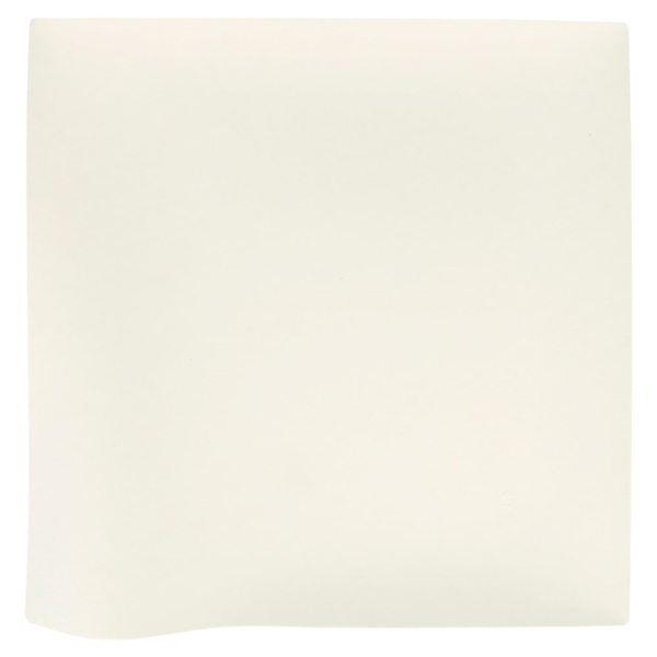 Garcia De Pou PLATOS KAKU XL 'BIONIC' 24 6x24 6x4 CM BLANCO BAGAZO (100 UNID.)