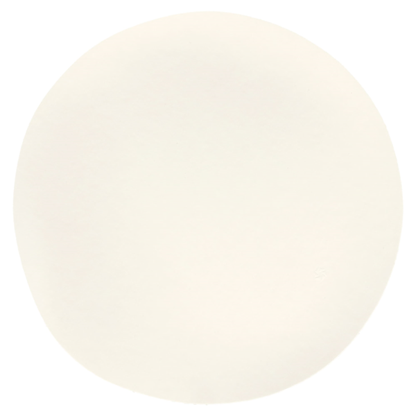 Garcia De Pou PLATOS MARU L 'BIONIC' Ø 23x3 4 CM BLANCO BAGAZO (100 UNID.)