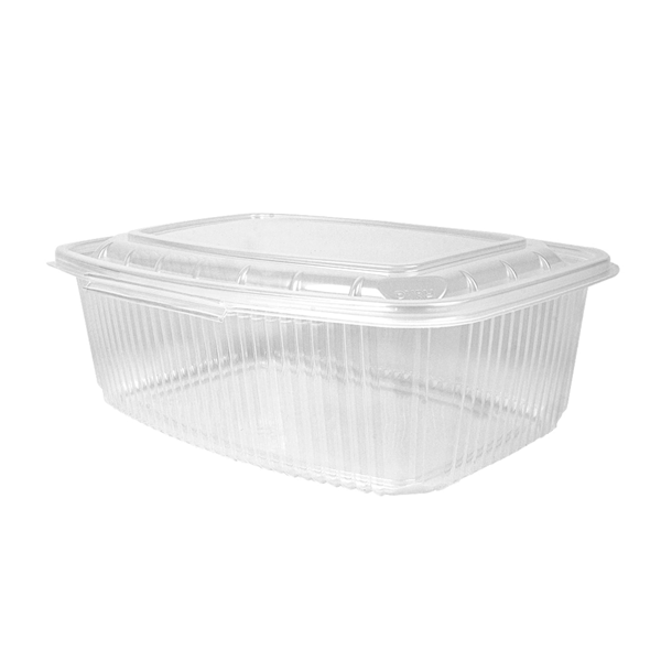Garcia De Pou RECIPIENTE CON TAPA BISAGRA 2000 ML 23 3x17 8x7 9 CM TRANSPARENTE PP (200 UNID.)