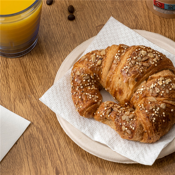 Garcia De Pou SERVILLETAS ECOLABEL 1 CAPA 20 G/M2 30x30 CM BLANCO TISSUE (2400 UNID.)