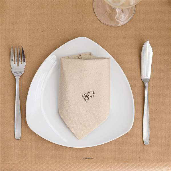 Garcia De Pou SERVILLETAS ECOLABEL 2 CAPAS 18 G/M2 30x30 CM NATURAL TISSUE RECICLADO (2400 UNID.)