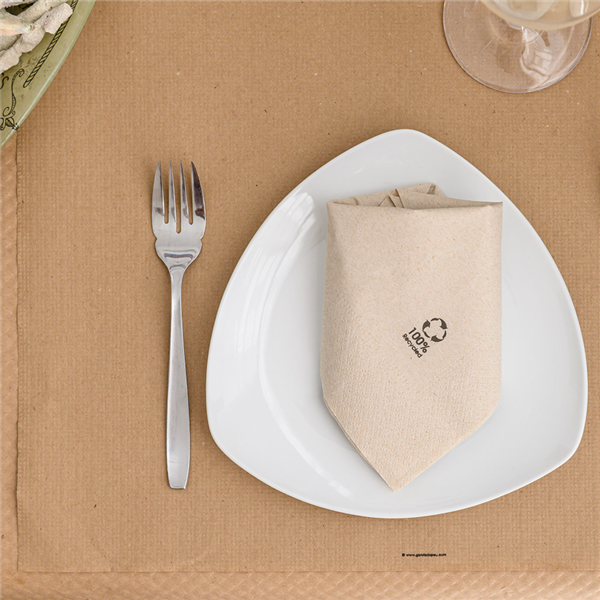 Garcia De Pou SERVILLETAS ECOLABEL 2 CAPAS 18 G/M2 33x33 CM NATURAL TISSUE RECICLADO (2400 UNID.)