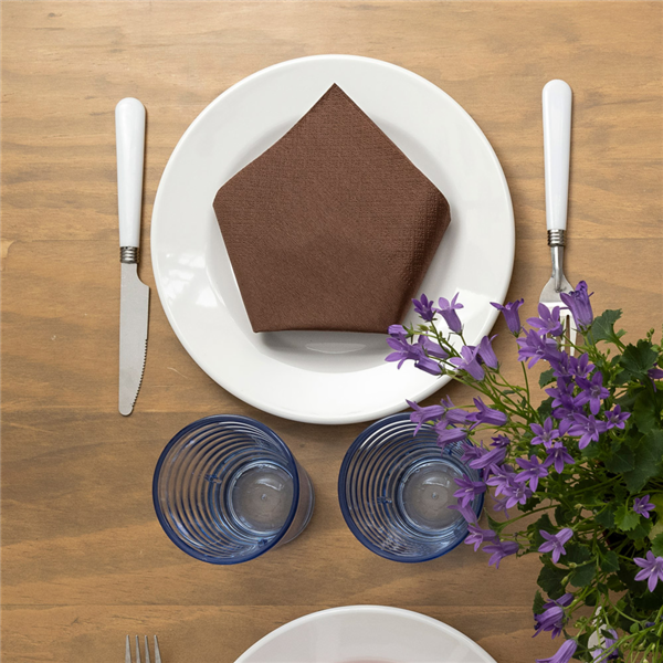 Garcia De Pou SERVILLETAS ECOLABEL 2 CAPAS 18 G/M2 39x39 CM CHOCOLATE TISSUE (1600 UNID.)