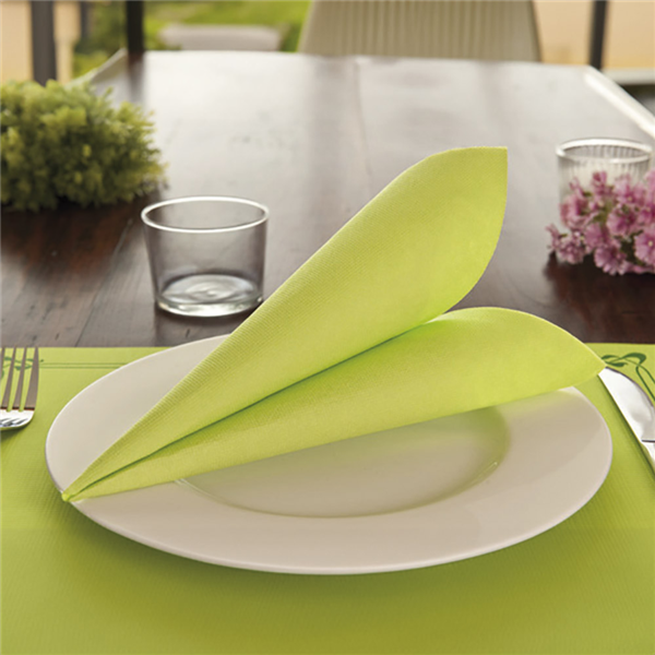 Garcia De Pou SERVILLETAS ECOLABEL 'DOUBLE POINT' 18 G/M2 33x33 CM VERDE ANÍS TISSUE (1200 UNID.)